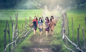 women in rice paddy 